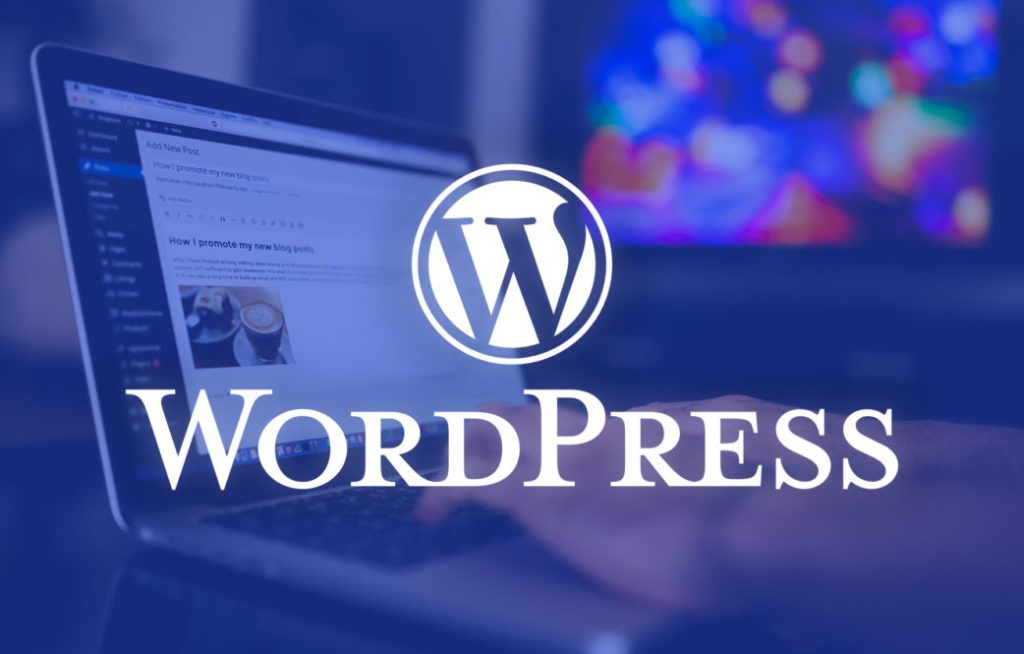 wordpress developer